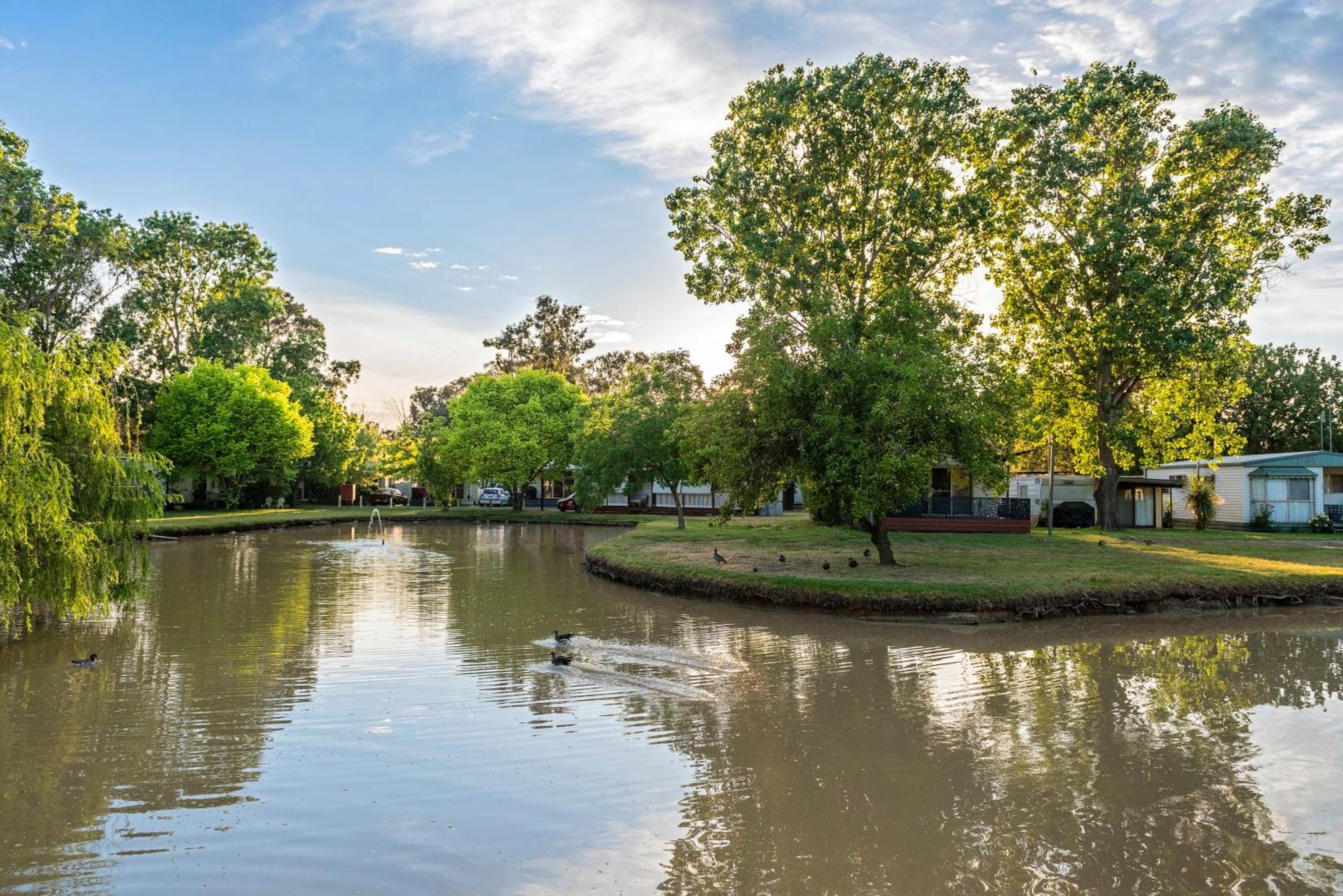 Discovery Parks - Maidens Inn Moama Ngoại thất bức ảnh